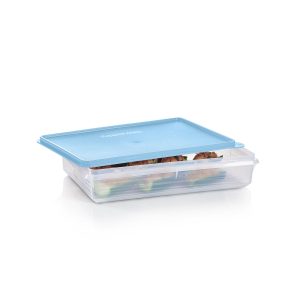 Tupperware? Snack-Stor? Large Airtight Food Storage Container