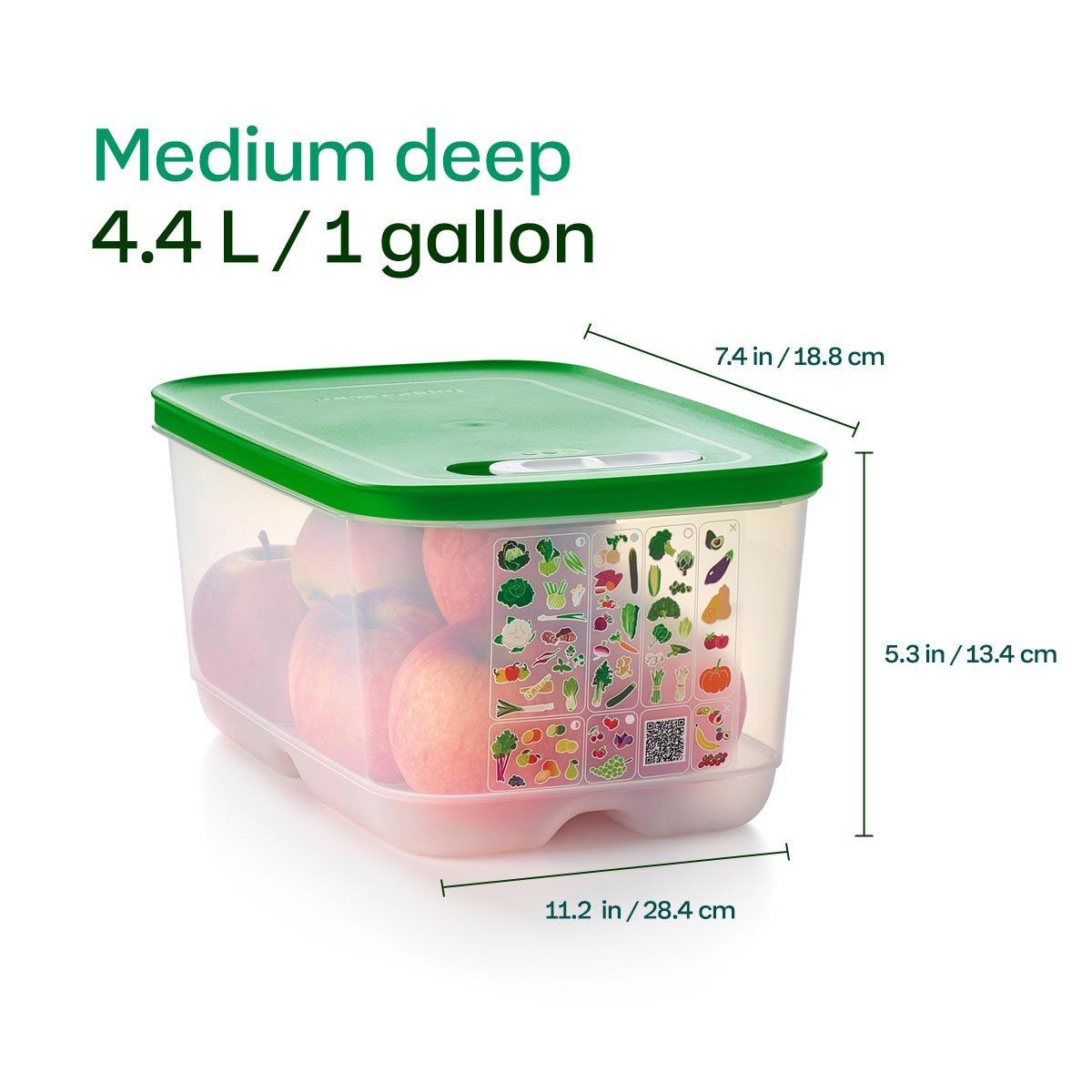 FridgeSmart? | 4-piece Starter Set - Image 10