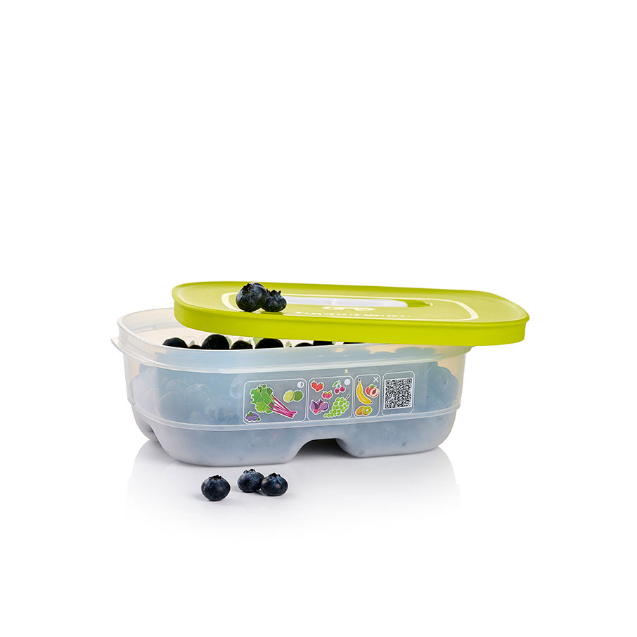 FridgeSmart? Containers - Image 6