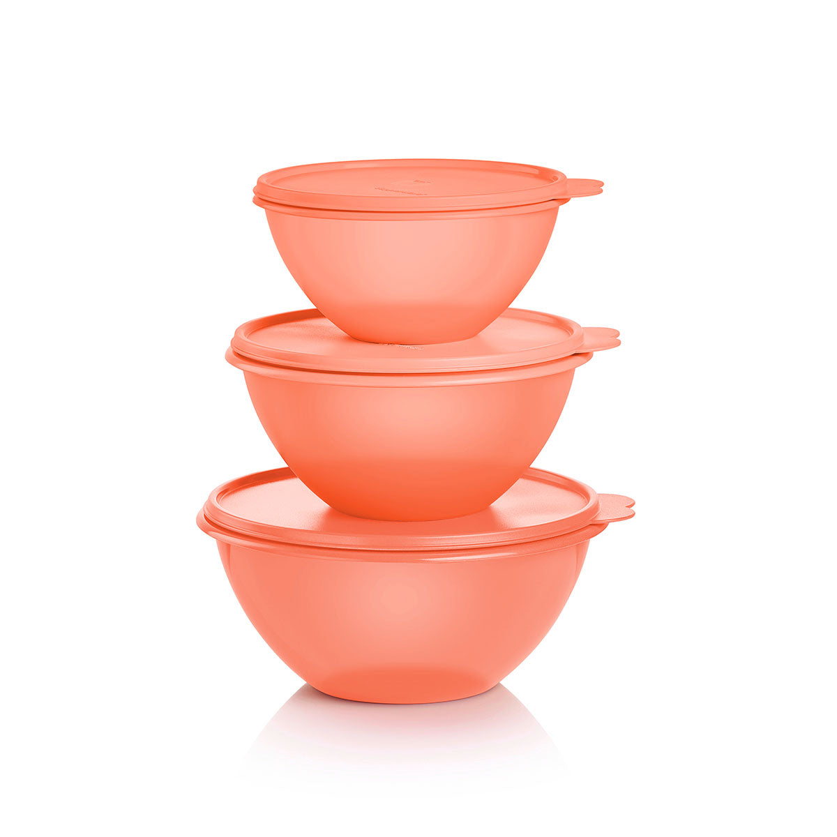 Classic Wonderlier? | 3-piece Set - Image 2